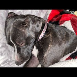 Meet your Posher, Camryn